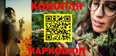 mdpv Заводоуковск