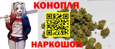 mdpv Заводоуковск