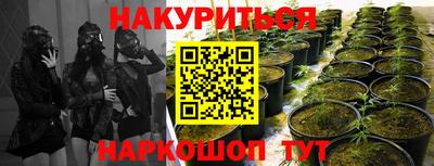mdpv Заводоуковск