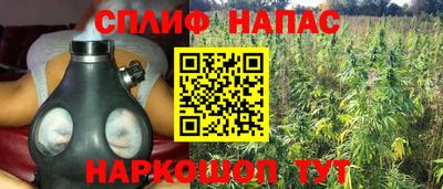 эйфоретик Жуковский