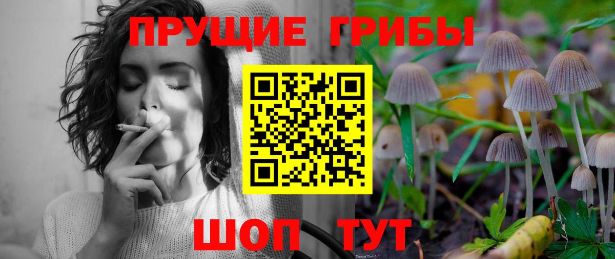 Псилоцибиновые грибы MAGIC MUSHROOMS Тейково